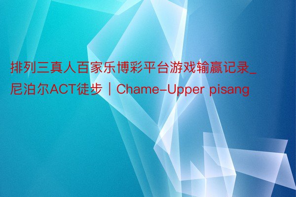 排列三真人百家乐博彩平台游戏输赢记录_尼泊尔ACT徒步｜Chame-Upper pisang